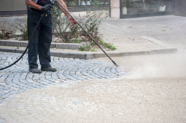 Best Dumpster Area Cleaning  in Haines City, FL