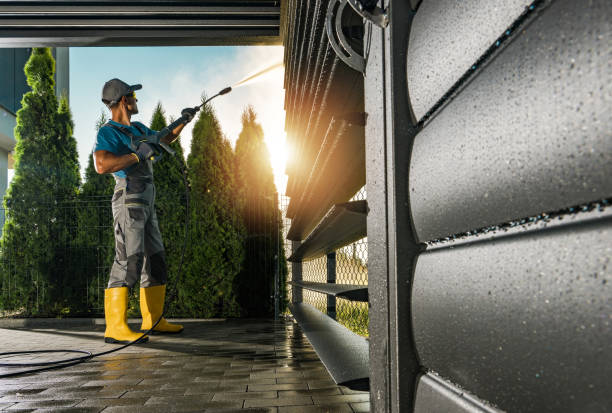 Best Driveway Pressure Washing  in Haines City, FL